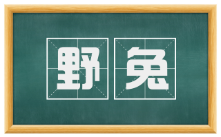野兔