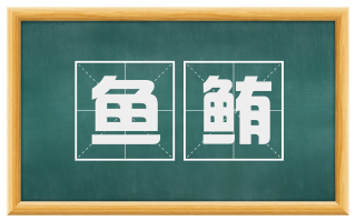 鱼鲔
