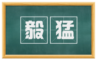毅猛