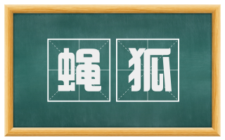 蝇狐