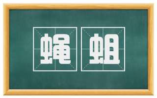 蝇蛆