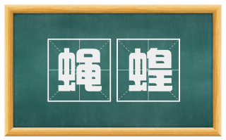 蝇蝗