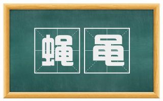 蝇黾