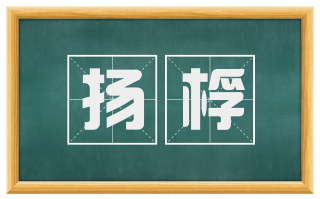 扬桴