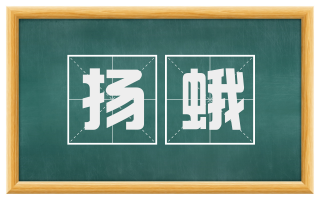 扬蛾