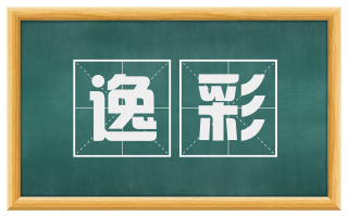 逸彩