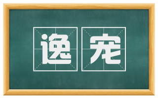 逸宠