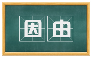 因由