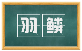 羽鳞