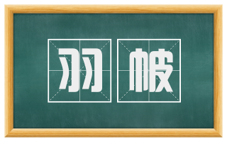 羽帔