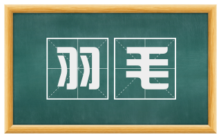 羽毛