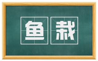 鱼栽