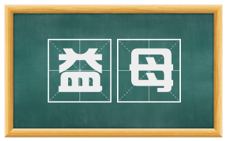 益母