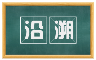沿溯