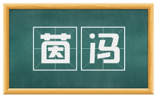 茵冯