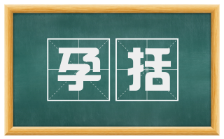 孕括