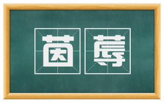 茵蓐