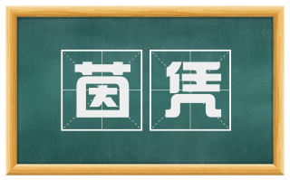茵凭