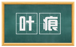 叶痕