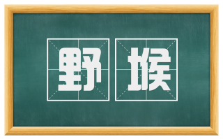 野堠