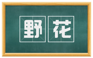 野花