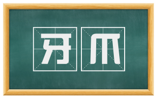 牙爪