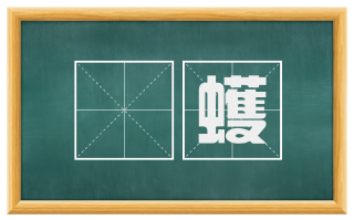 蜎蠖