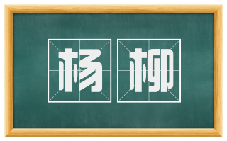 杨柳
