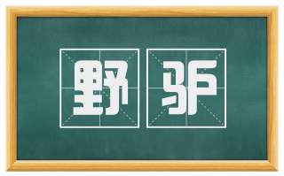 野驴