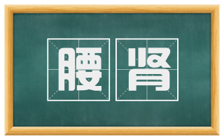 腰肾