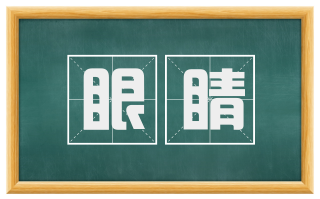 眼睛