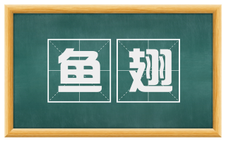 鱼翅