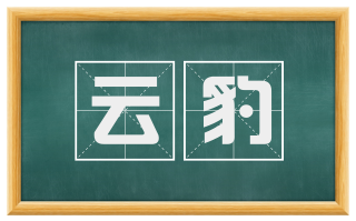 云豹