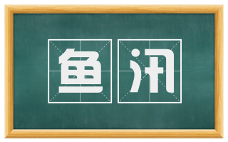 鱼汛