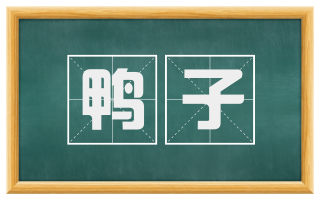 鸭子