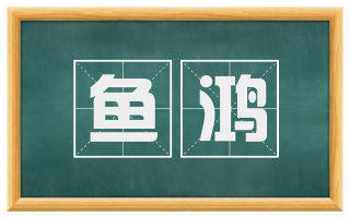 鱼鸿