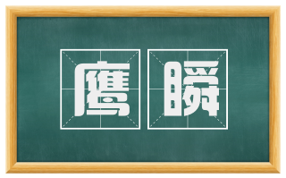 鹰瞬