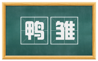 鸭雏