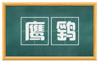 鹰鹞