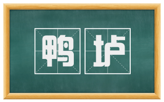 鸭垆