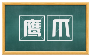 鹰爪