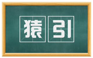 猿引