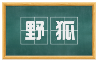 野狐