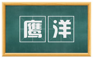 鹰洋