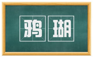 鸦瑚