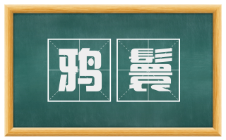 鸦鬟