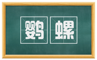 鹦螺