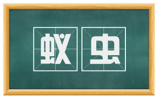 蚁虫