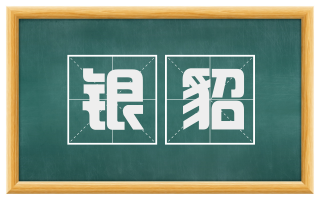 银貂