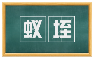 蚁垤